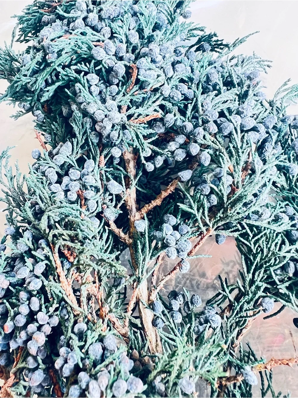 Dehydrated Juniper Berries for Home Decor